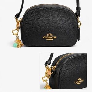 Coach Mini Serena Crossbody 6 1/2" (L) x 4 3/4" (H) x 2" (W)